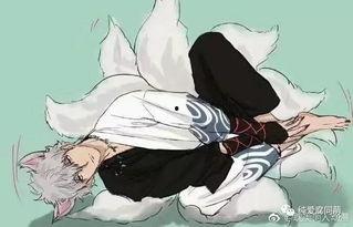 银攻漫画,浪漫与力量的交织